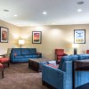 Отель Comfort Inn & Suites - Hannibal, фото 12