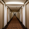 Отель Kagoshima Washington Hotel Plaza, фото 17