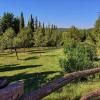 Отель Villa San Martino, фото 14