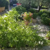Отель Dorica - Flower Garden - A1, фото 13