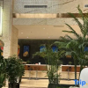 Отель Ganggadisi Hotel, фото 6