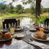 Отель I love phants Lodge, фото 26