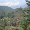 Отель Mountview Holiday Inn - Bandarawela City, фото 19