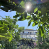 Отель Olympos Likya Apart Otel, фото 1