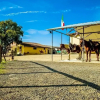Отель Toscana Ranch, фото 28