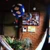 Отель Hostel Goiabada com Queijo, фото 6