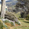 Отель Burnt Creek Cottages Mansfield, фото 17