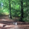 Отель Birkerød Rolighedsvej 14A, фото 20
