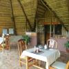 Отель Ngamba Island Tented Camp, фото 4