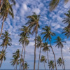 Отель Peace Haven Bungalow, фото 13