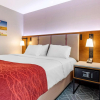 Отель Comfort Inn JFK Airport, фото 15