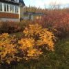 Отель Enaforsholm Fjällgård, фото 1