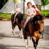 Отель Western Camp Resort, фото 18
