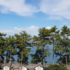 Отель Beach Pines House, фото 12