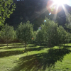 Отель Orchard Canyon on Oak Creek, фото 11