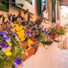 Отель Guest house SOTTO I VOLTI by Porta Antica, фото 1