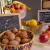 Отель Agriturismo Pelagaccio, фото 13