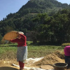 Отель Homestay Nepal, фото 3