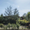 Отель The Lodge Gir, фото 10