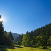 Отель The Conscious Farmer Bed and Breakfast Sauerland, фото 16