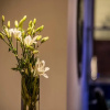 Отель Wild Avenue Resort & Spa, фото 7