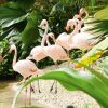 Отель Tropical Islands Campingplatz, фото 3