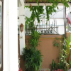 Отель Sivarin Guesthouse, фото 2