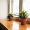 Отель Elegant Apartment Ordynacka, фото 10