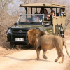 Отель Boulders Safari Lodge, фото 22