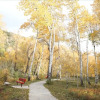 Отель Mt. Shavano Chalet at Creekside Chalets - 1 Br Cabin, фото 12