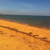 Отель Corinella On The Esplanade Bed & Breakfast, фото 8