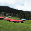 Отель Chopta Mount Holiday Camp & Resort, фото 9