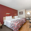 Отель Red Roof Inn Cleveland - Westlake, фото 4