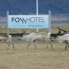 Отель Fosshotel Vatnajokull, фото 20