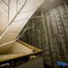 Отель Wax Home City Homestay, фото 7