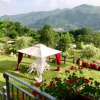 Отель Agriturismo Il Frutteto, фото 8
