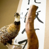 Отель Yuyama Onsen Motoyukan, фото 13