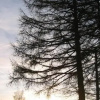 Отель Leitnerhof, фото 1