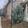 Отель Beautiful Three Bedroom House, фото 8