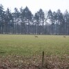 Отель Cozy Holiday Home in Baarn with Private Garden, фото 9