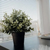 Отель Entire 4 Bed House - Monthly Discount - By Centre, фото 5