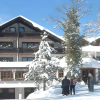 Отель Waldblick Hotel, фото 1