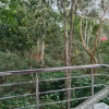 Отель Sharma Jee Farm House, фото 19