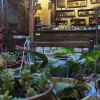 Отель Changting Youzhu Homestay, фото 1