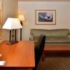 Отель Holiday Inn Express Hotel & Suites Lincoln, an IHG Hotel, фото 4