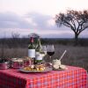 Отель Thabamati Luxury Tented Camp, фото 19