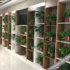 Отель Xinyue Lishui Holiday Hotel, фото 12