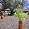 Отель Habitación 2 camas RNT85322 Desayunos incluidos, фото 4