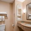 Отель Best Western South Plains Inn & Suites, фото 8