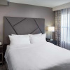 Отель Homewood Suites by Hilton Atlanta Lenox Mall Buckhead, фото 4